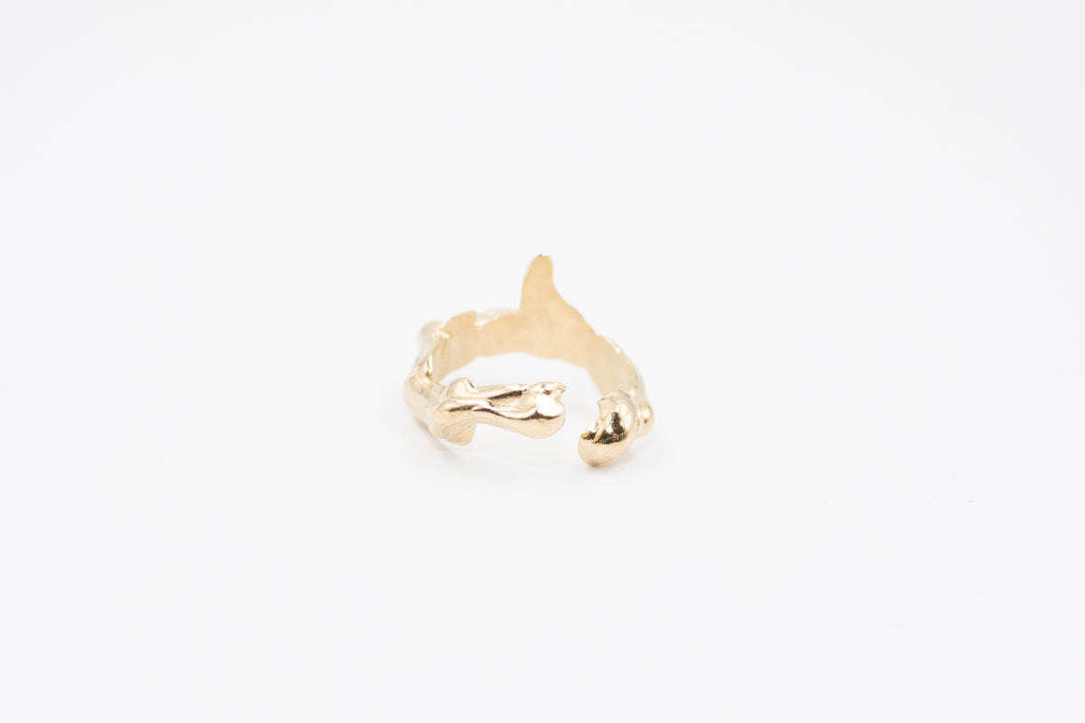 Aura Rings