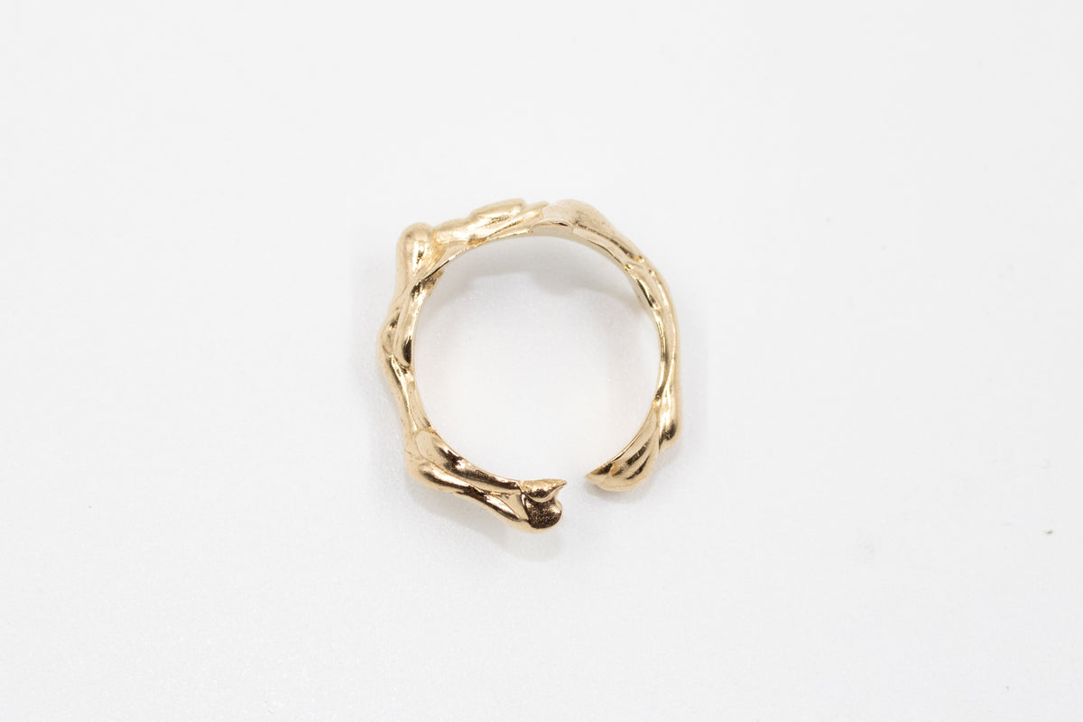 Aura Rings