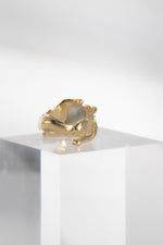Charger l'image dans la galerie, BAGUE FOU
